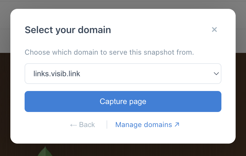 Select domain for the snapshot — then click Capture page